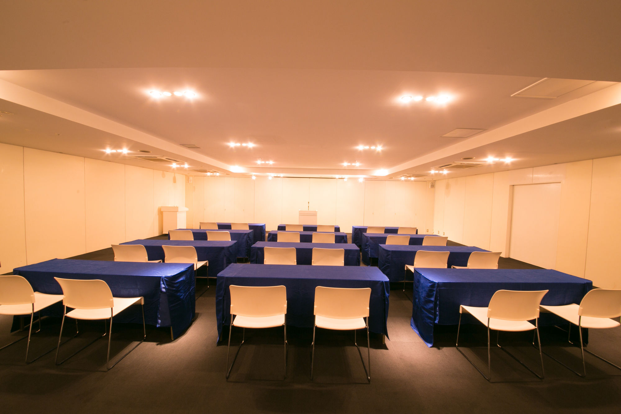 Hotel The Lively Fukuoka Hakata